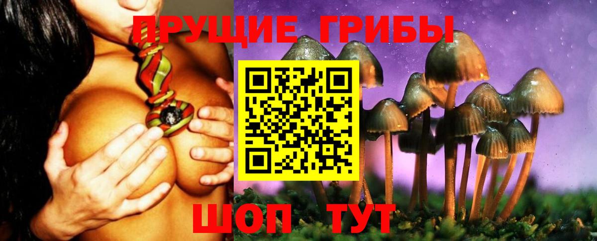 Галлюциногенные грибы мицелий  Вход с VPN  Губкин 